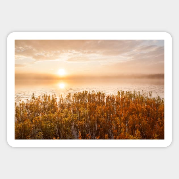 Sunrise at foggy lake Sticker by Juhku